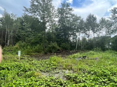 Crois. Caroline-Aigle, Lachute, Quebec J8H 0V1, Canadá
