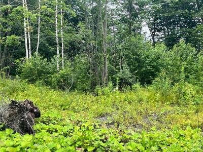 Crois. Caroline-Aigle, Lachute, Quebec J8H 0V1, Canadá