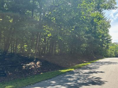6332 Hazelwood DR, Dublin, Virginia 24084