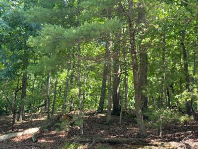 6332 Hazelwood DR, Dublin, Virginia 24084, USA
