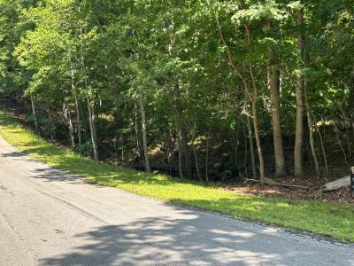 6344 Hazelwood DR, Dublin, Virginia 24084