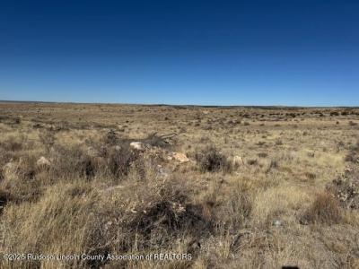 L115/116 Starbright Lane, Ancho, Novo México 88301, Estados Unidos