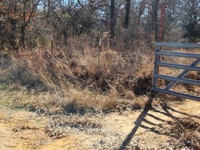 925 Three Skillet Road, Springtown, Texas 76082