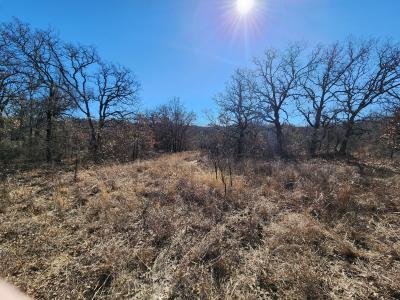 925 Three Skillet Road, Springtown, Texas 76082