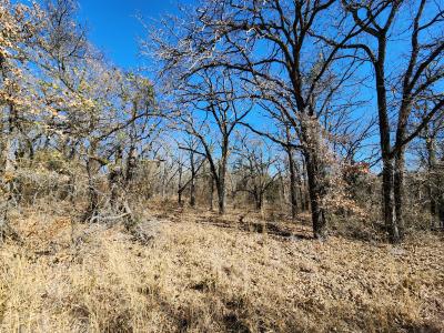 925 Three Skillet Road, Springtown, Texas 76082