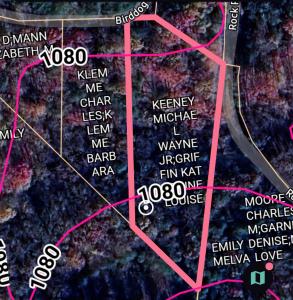 000 Birddog Blvd Lot 328, Lake Lure, Carolina Do Norte 28746, Estados Unidos
