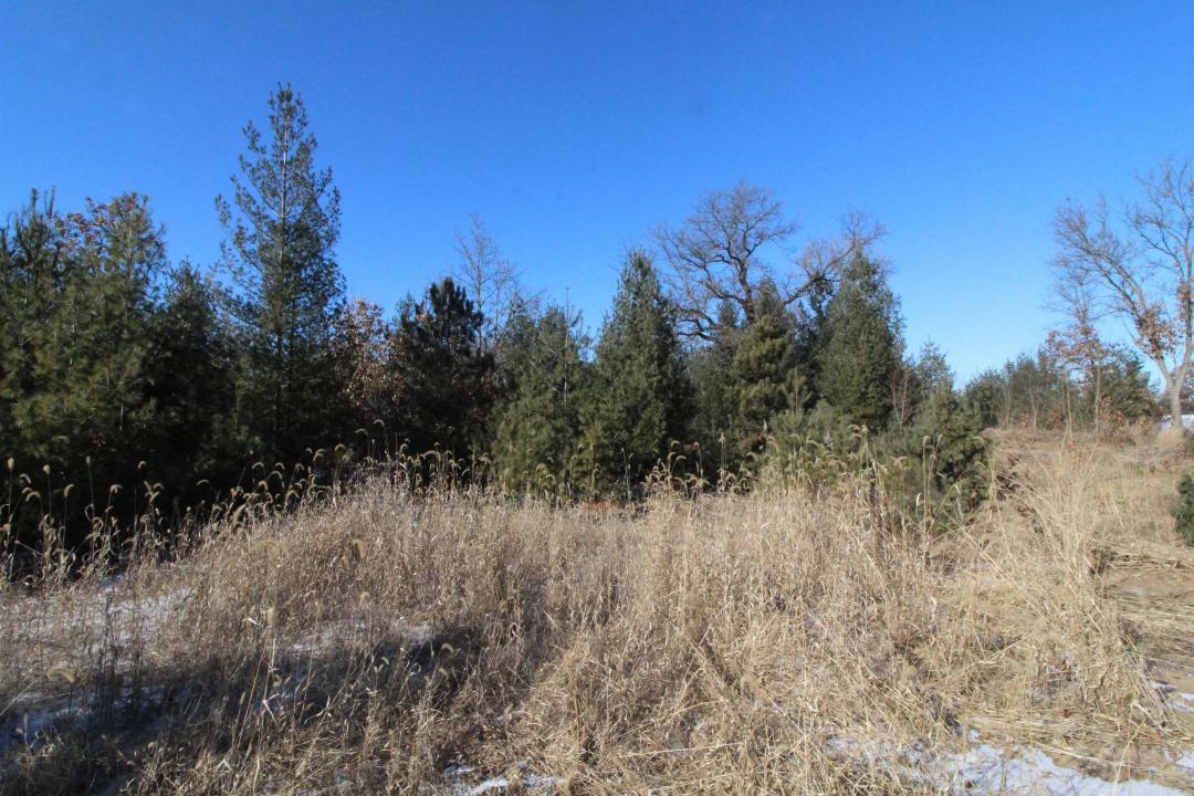 Lot20 Timber Trail, Spring Green, Wisconsin 53588, HOA KỲ