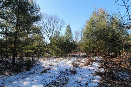 Lot20 Timber Trail, Spring Green, Wisconsin 53588, HOA KỲ
