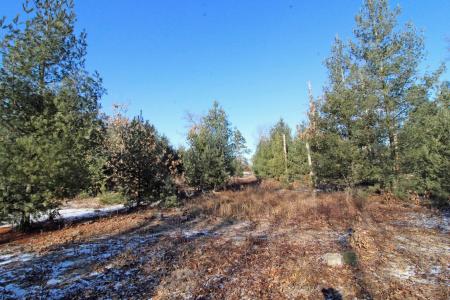 Lot20 Timber Trail, Spring Green, Wisconsin 53588, HOA KỲ