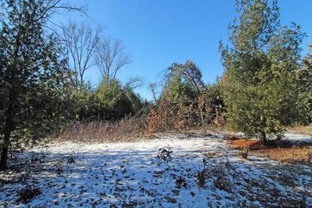 Lot20 Timber Trail, Spring Green, Wisconsin 53588, HOA KỲ