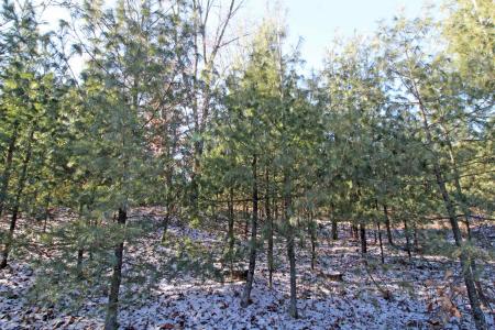 Lot20 Timber Trail, Spring Green, Wisconsin 53588, HOA KỲ