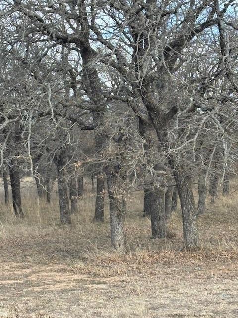 TBD Sugartree Circle, Lipan, Texas 76462, Estados Unidos