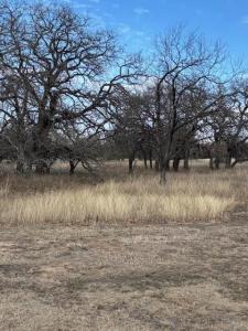TBD Sugartree Circle, Lipan, Texas 76462, Estados Unidos
