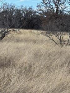 TBD Sugartree Circle, Lipan, Texas 76462, Estados Unidos