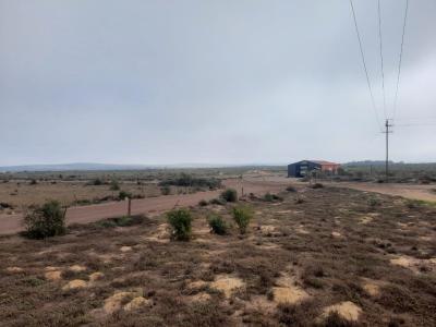 Saldanha, Western Cape, 南アフリカ