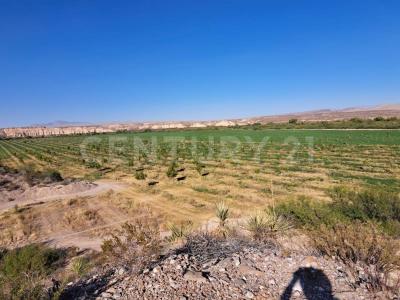 Chihuahua ojinaga 16,, Coyame, チワワ 32850, メキシコ