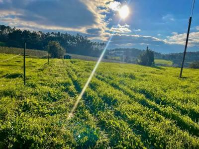 Alcobaça, Leiria 2460-358, Portugal