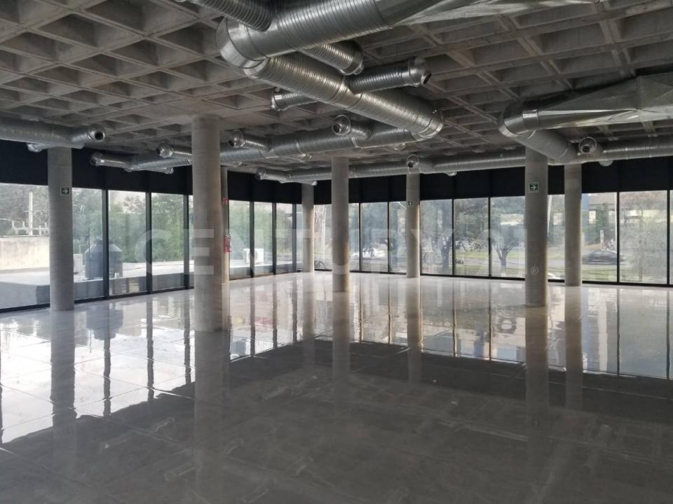 Monterrey, Nuevo León 64750, Messico