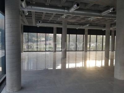 Monterrey, Nuevo León 64750, Messico