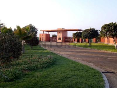 Sec. Villacuri Sector C Lote 19 Distrito de Salas Guadalupe, Ica , Ica, Ica 00001, 페루