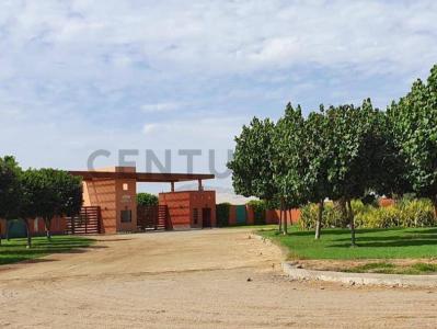 Sec. Villacuri Sector C Lote 19 Distrito de Salas Guadalupe, Ica , Ica, Ica 00001, 페루