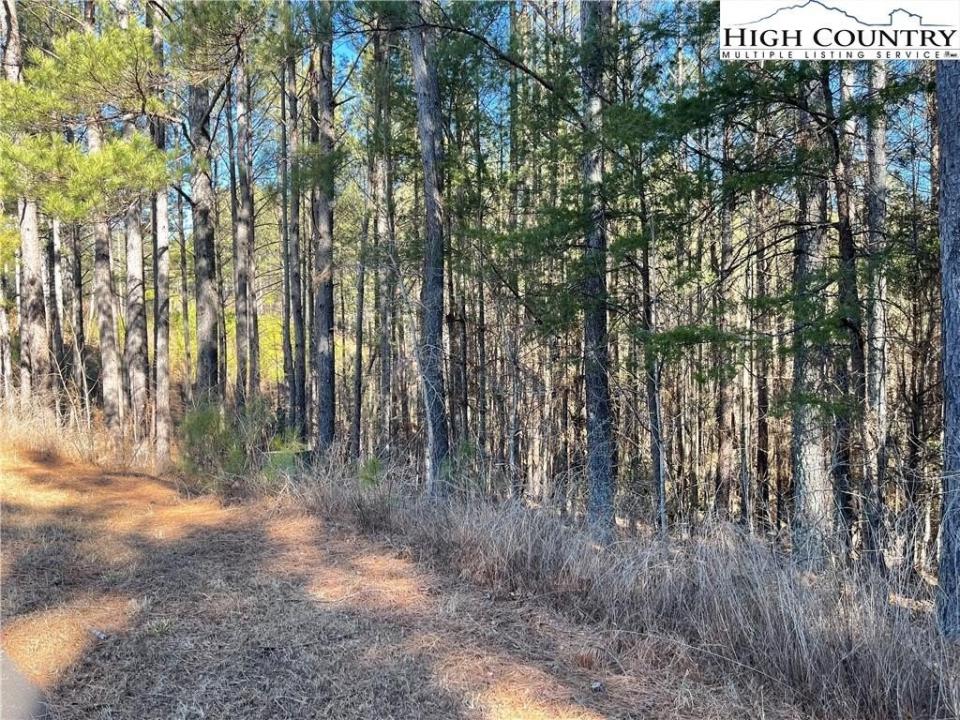 109 Shortoff Trail, Valdese, North Carolina 28655