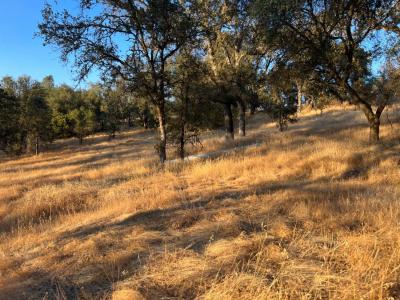 3906 Highway 49, Mokelumne Hill, Califórnia 95245, Estados Unidos