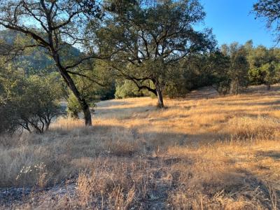 3906 Highway 49, Mokelumne Hill, Califórnia 95245, Estados Unidos