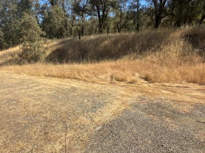 3906 Highway 49, Mokelumne Hill, Califórnia 95245, Estados Unidos