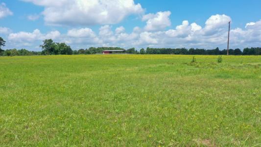 TBD FM 248, Linden, Texas 75563