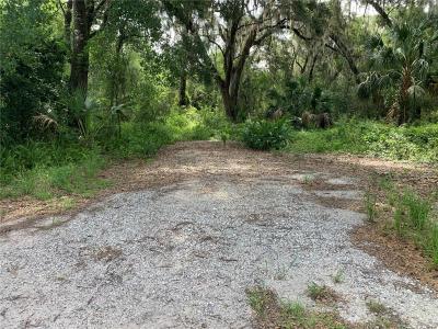 Strickland Avenue, Orange City, Florida 32763, USA