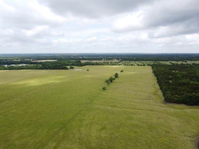 67 ac CR 1033, Celeste, Texas 75423, USA
