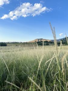 1400 E 11600 N, Richmond, Utah 84333, Estados Unidos