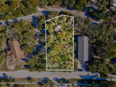 Lot 69 Pine Island Drive, Weeki Wachee, Florida 34607, Amerika Birleşik Devletleri