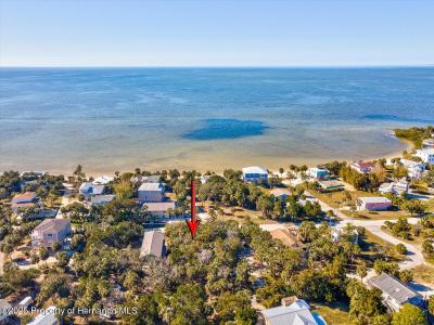 Lot 69 Pine Island Drive, Weeki Wachee, Florida 34607, Amerika Birleşik Devletleri
