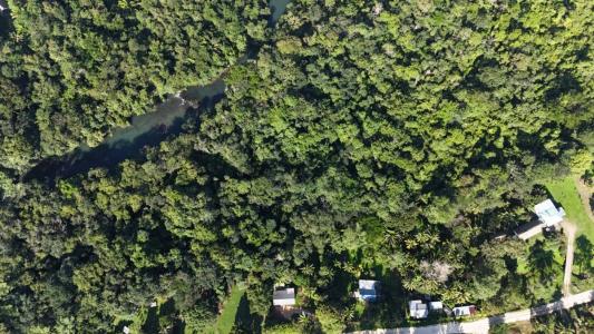 , Big Falls, Toledo 00001, Belice
