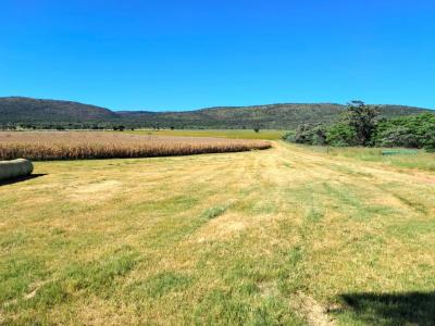Modimolle, Limpopo, África Do Sul