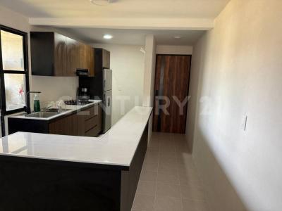 Colonia Candiani S/N,, Oaxaca De Juárez, Oaxaca 68130, México