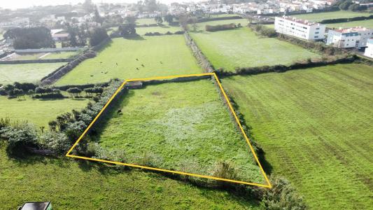 Ponta Delgada, São Miguel Island 9500, Portugal