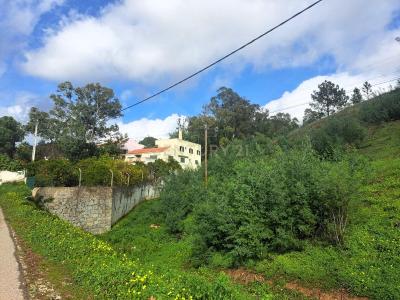 Monchique, Faro 8550-213, Portugal