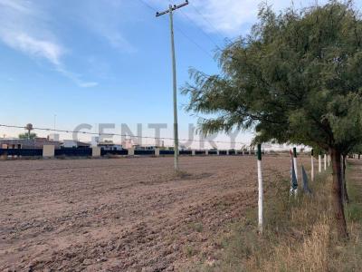 ruta 34 1021, Lavalle, Corrientes 00001, Argentina