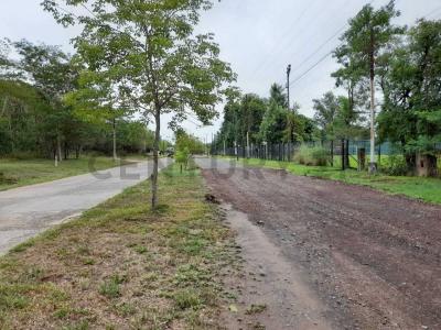 Surubií , Mariano Roque Alonso, Central 00001, Paraguai