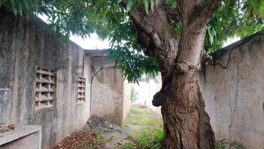 El Pilar (Los Robles), Nueva Esparta 6316, 委内瑞拉