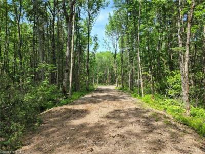 360 GRAHAMVALE ROAD, Chisholm, Ontario P0H 1B0, Canadá