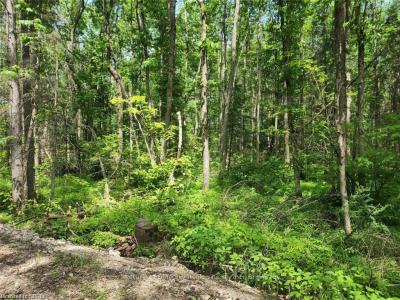 360 GRAHAMVALE ROAD, Chisholm, Ontario P0H 1B0, Canadá