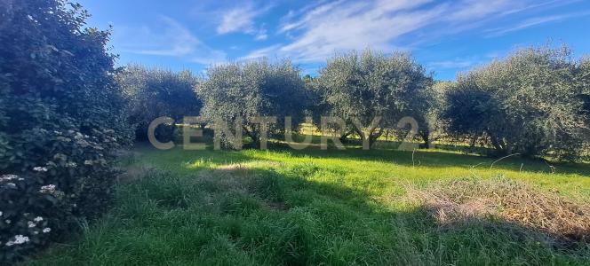 Via Ponte Ilario, Orbetello, Toscana 58015, 이탈리아