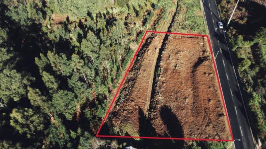 Santa Cruz, Madeira 9135-040, Portugal