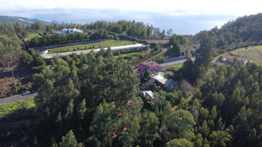 Santa Cruz, 馬德拉 9135-040, 葡萄牙