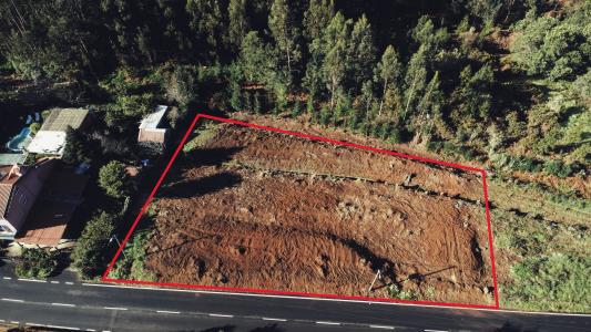 Santa Cruz, 馬德拉 9135-040, 葡萄牙