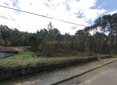 Oliveira Do Bairro, Aveiro 3770-216, Portugal